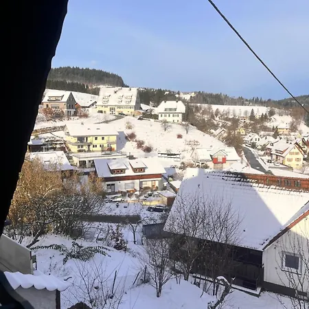 Apartment Schwarzwaldglueck *