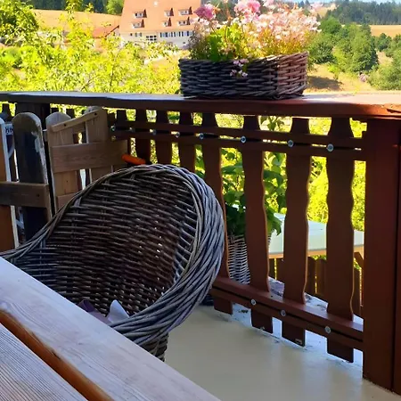 Schwarzwaldglueck Apartment Baiersbronn