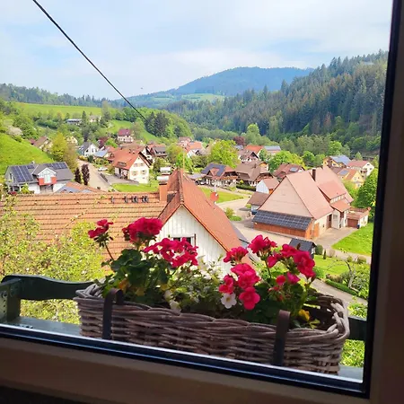 Schwarzwaldglueck Apartment